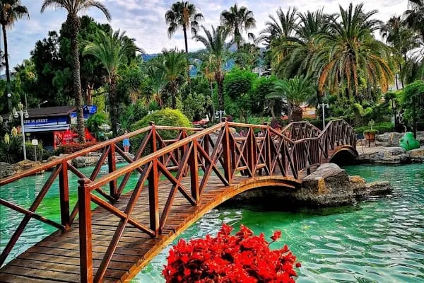 Alanya Belediyesi Kedi Parkı - Resim 2