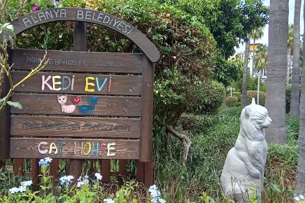 Alanya Belediyesi Kedi Parkı - Resim 11