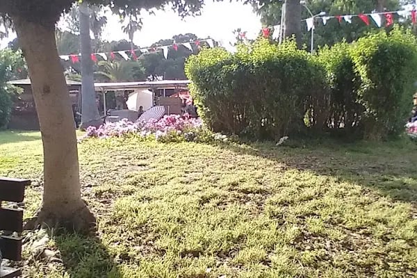 Alanya Belediyesi Kedi Parkı - Resim 12