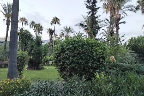 Alanya Belediyesi Kedi Parkı - Resim 17