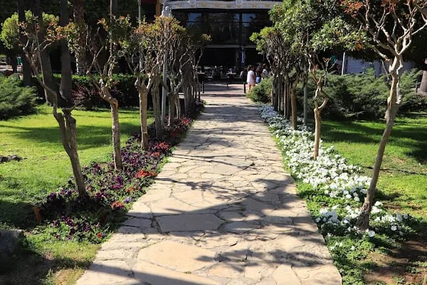 Alanya Belediyesi Kedi Parkı - Resim 6