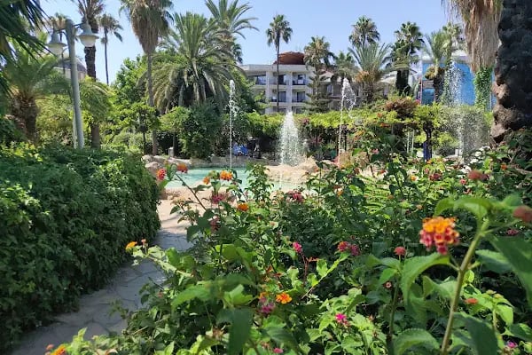 Alanya Belediyesi Kedi Parkı - Resim 19