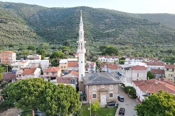 Narlı Köyü Merkez Cami - Resim 8