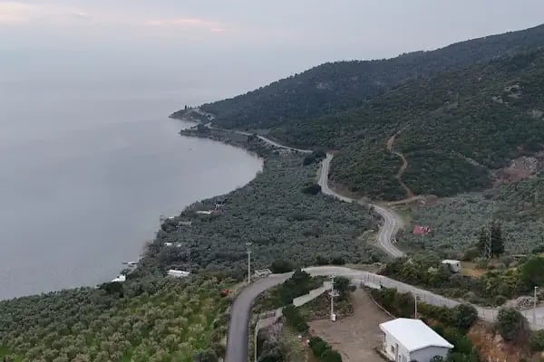 Narlı Köyü Merkez Cami - Resim 5