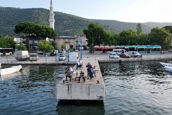 Narlı Köyü Merkez Cami - Resim 19