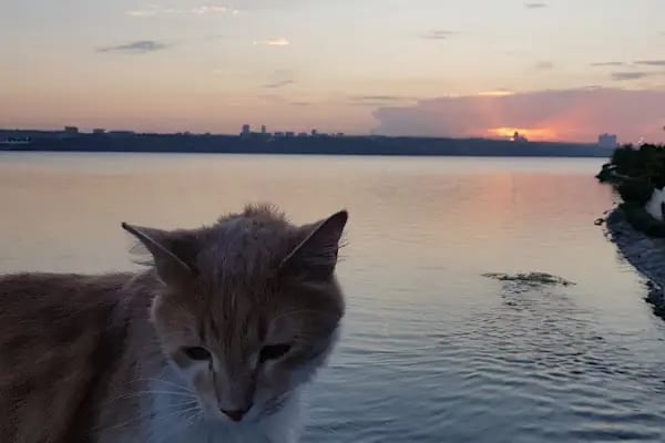 İBB-Balıkçı Adası Parkı - Resim 9