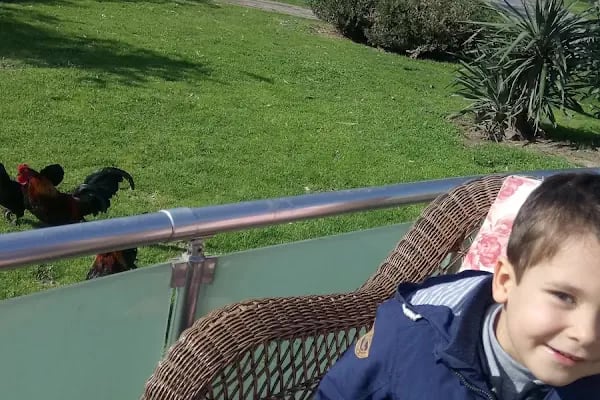 İBB-Balıkçı Adası Parkı - Resim 18