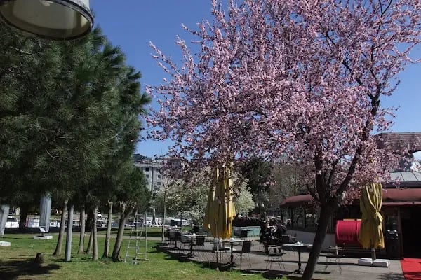 İBB-Balıkçı Adası Parkı - Resim 15