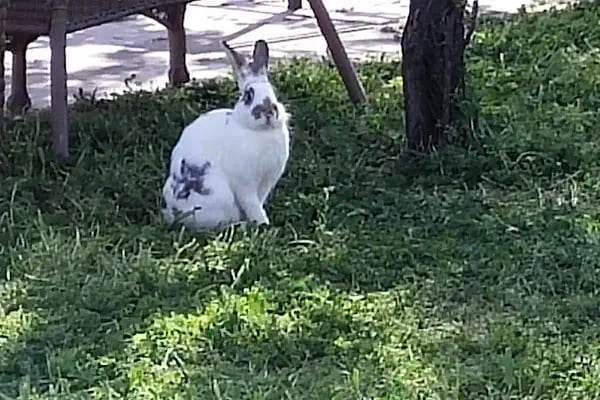 İBB-Balıkçı Adası Parkı - Resim 14