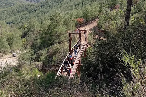 Kapıkaya Kanyonu - Resim 13