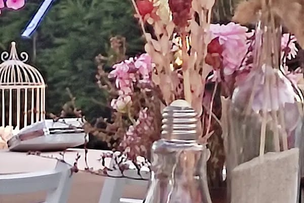 Hanedan Düğün Salonu Kapaklı - Resim 2