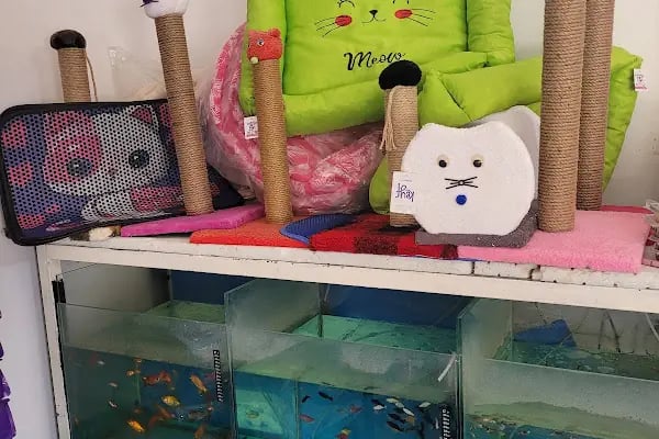 Bağcı Petshop (Altınova) - Resim 4