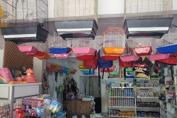 Bağcı Petshop (Altınova) - Resim 2