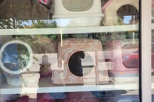 Bağcı Petshop (Altınova) - Resim 12
