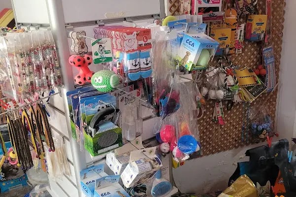 Bağcı Petshop (Altınova) - Resim 7