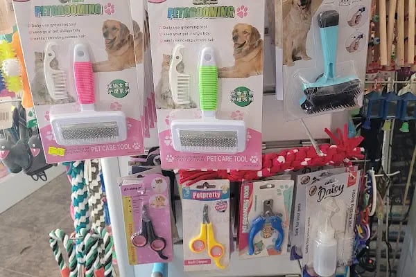 Bağcı Petshop (Altınova) - Resim 15