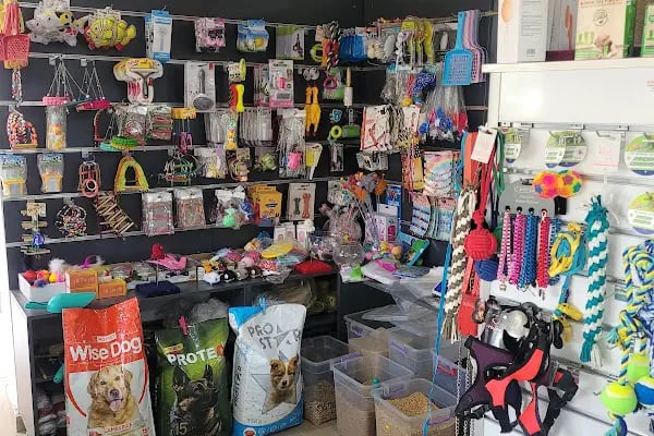 Bağcı Petshop (Altınova) - Resim 16