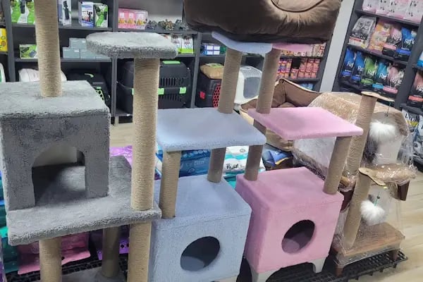 Bağcı Petshop (Altınova) - Resim 11