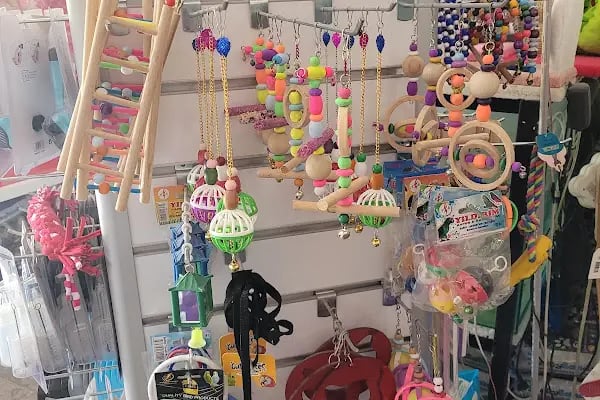 Bağcı Petshop (Altınova) - Resim 9