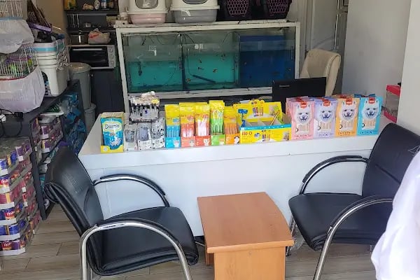 Bağcı Petshop (Altınova) - Resim 20