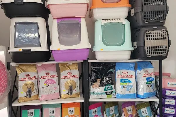 Bağcı Petshop (Altınova) - Resim 10