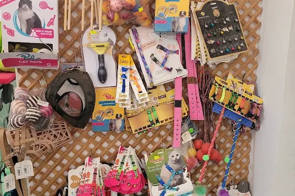Bağcı Petshop (Altınova) - Resim 17