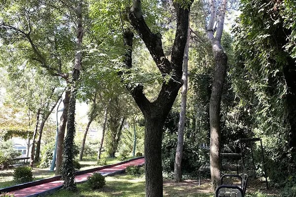 Ankara Üniversitesi Tıp Fakültesi Dekanlık Ve Morfoloji Kampüsü - Resim 8