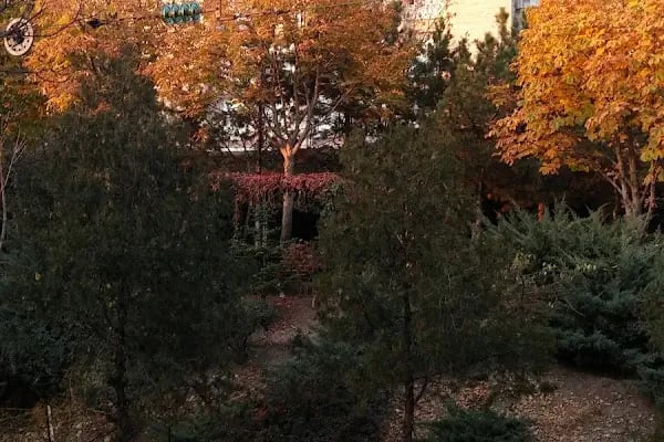 Ankara Üniversitesi Tıp Fakültesi Dekanlık Ve Morfoloji Kampüsü - Resim 13