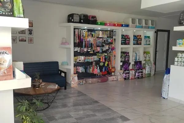 ÜNİVET VETERİNER KLİNİĞİ - Resim 6