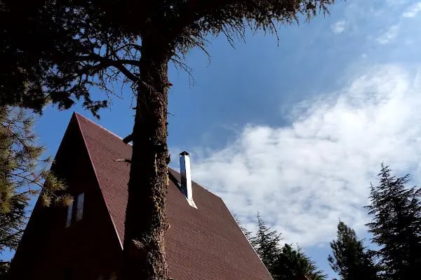 Yalnız Ardıç Bungalov Evleri Millet Bahçesi - Resim 16