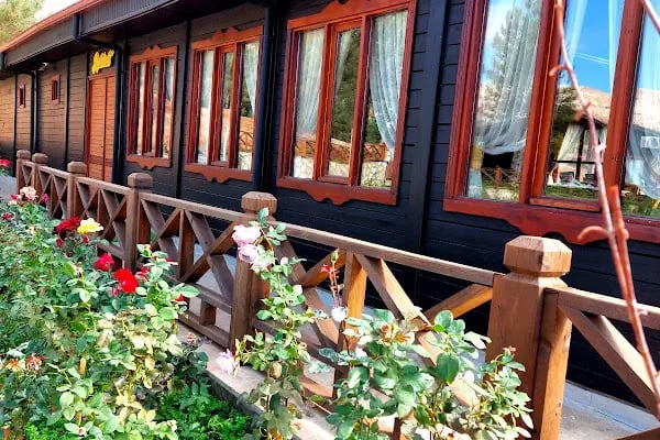 Yalnız Ardıç Bungalov Evleri Millet Bahçesi - Resim 9