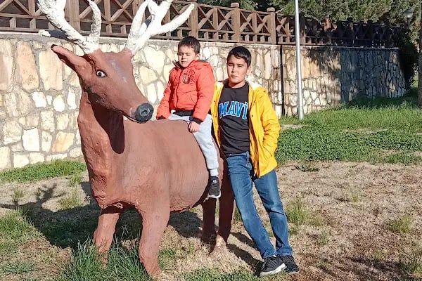 Yalnız Ardıç Bungalov Evleri Millet Bahçesi - Resim 14