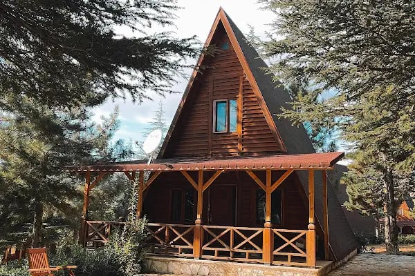 Yalnız Ardıç Bungalov Evleri Millet Bahçesi - Resim 4