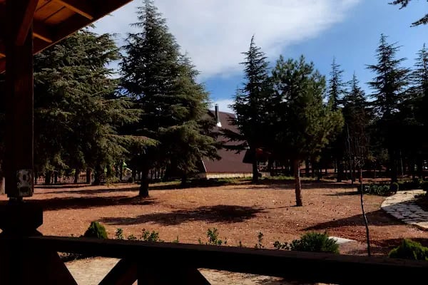 Yalnız Ardıç Bungalov Evleri Millet Bahçesi - Resim 17