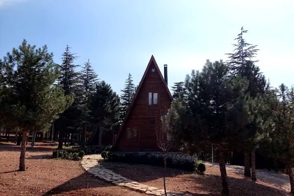 Yalnız Ardıç Bungalov Evleri Millet Bahçesi - Resim 7
