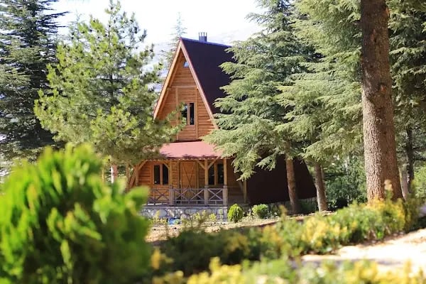 Yalnız Ardıç Bungalov Evleri Millet Bahçesi - Resim 12