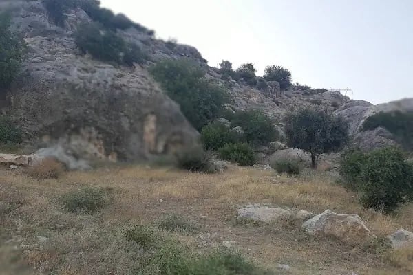 Selampınar Parkı - Resim 4