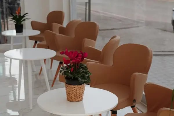 Dente Sante Diş Kliniği - Resim 10