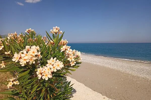 Kuum Cafe Bistro Beach - Resim 19