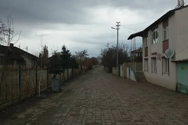 Aşkale Kaymakamlığı - Resim 9
