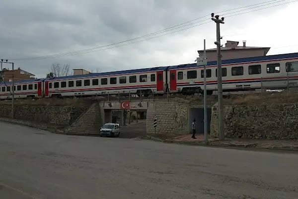 Aşkale Kaymakamlığı - Resim 10