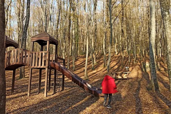 Fatih Çeşmesi Tabiat Parkı - Resim 4
