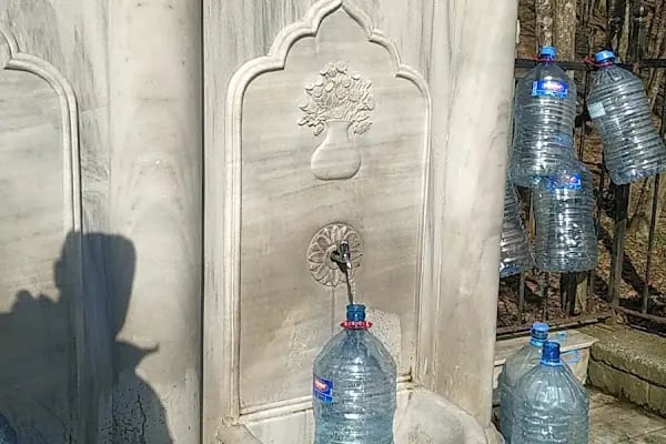 Fatih Çeşmesi Tabiat Parkı - Resim 5