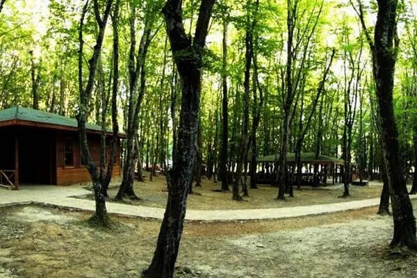 Fatih Çeşmesi Tabiat Parkı - Resim 2