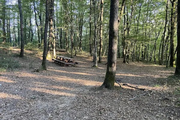 Fatih Çeşmesi Tabiat Parkı - Resim 3