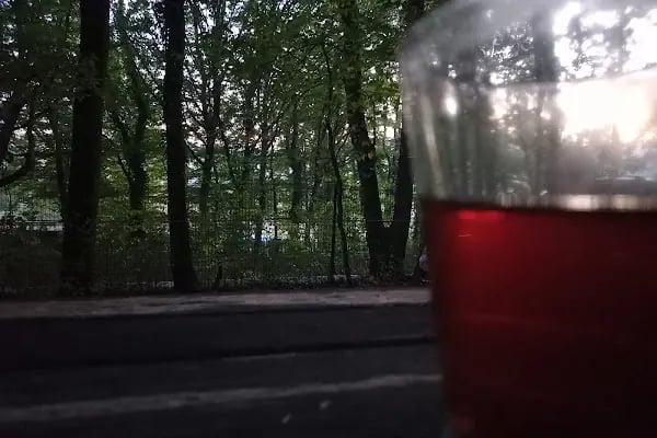 Fatih Çeşmesi Tabiat Parkı - Resim 15
