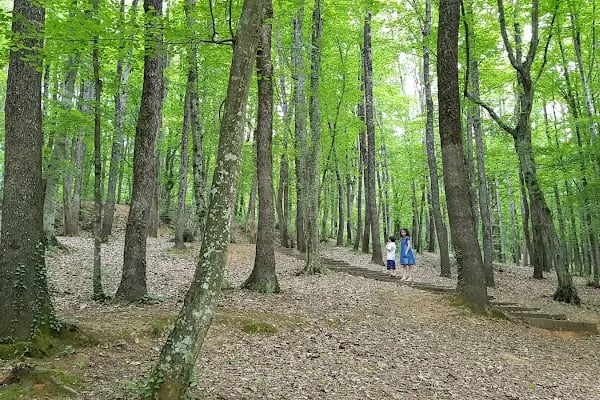 Fatih Çeşmesi Tabiat Parkı - Resim 1