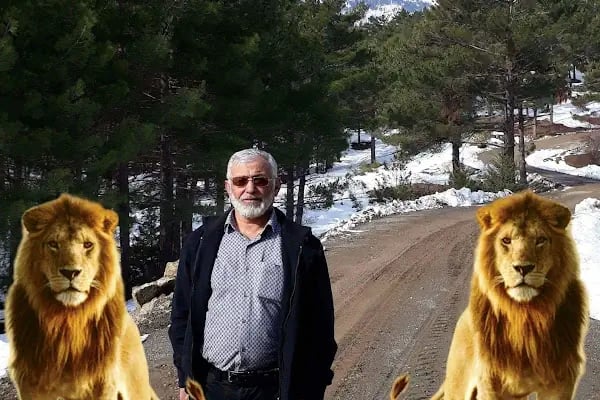 Öztürk Pastanesi - Resim 15