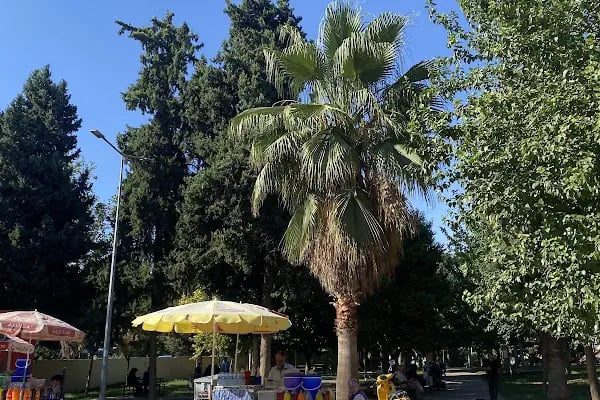 Hacı Mehmet Okan Park - Resim 13