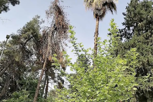 Hacı Mehmet Okan Park - Resim 14
